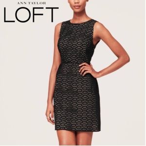 Loft Fan Eyelet Dress